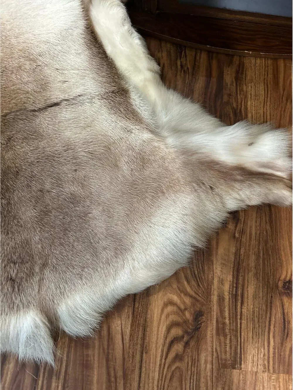 Genuine Deer or Caribou Hide Rug
